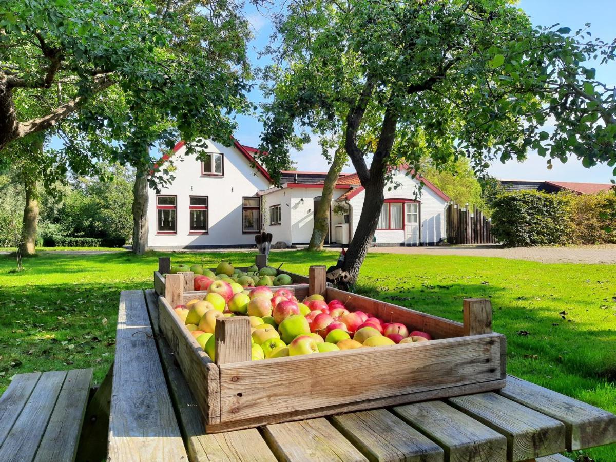 De Vrijheid-Melkstal Apartment De Cocksdorp  Luaran gambar