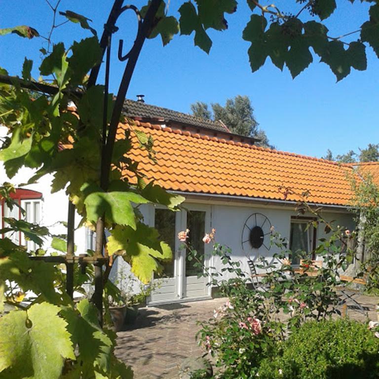 De Vrijheid-Melkstal Apartment De Cocksdorp  Luaran gambar